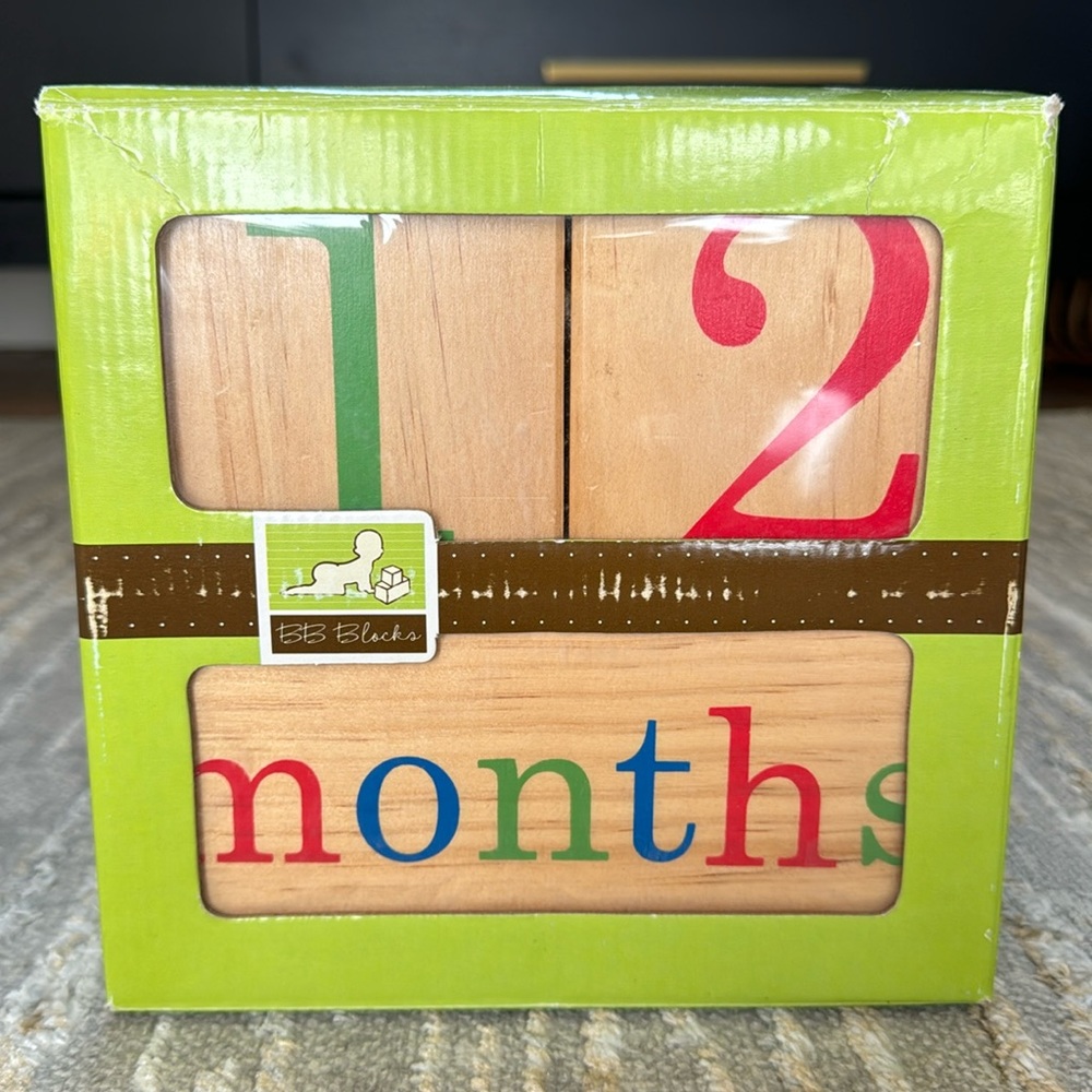 BB Blocks Baby Milestone Age Photo Blocks (Weekly, Monthly and Yearly)